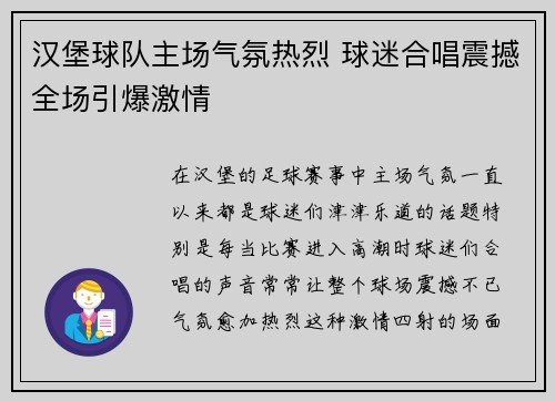 汉堡球队主场气氛热烈 球迷合唱震撼全场引爆激情
