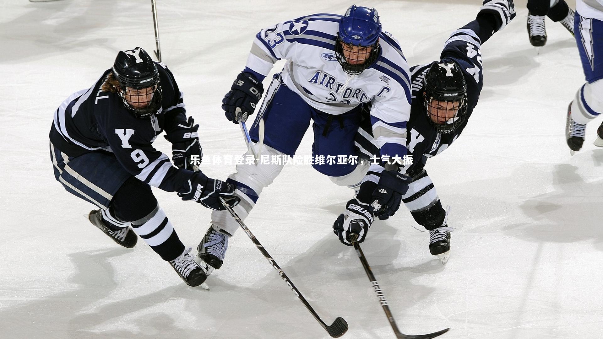 尼斯队险胜维尔亚尔,士气大振