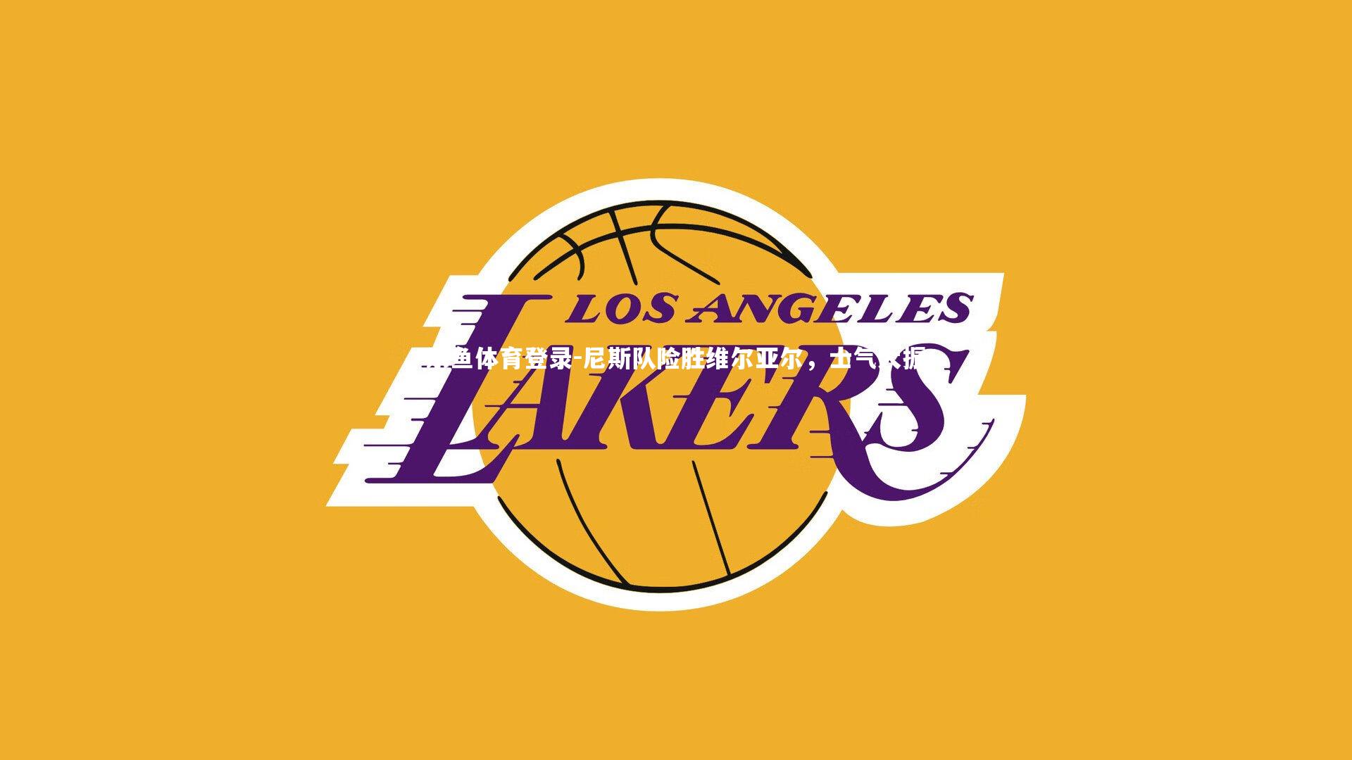 尼斯队险胜维尔亚尔,士气大振