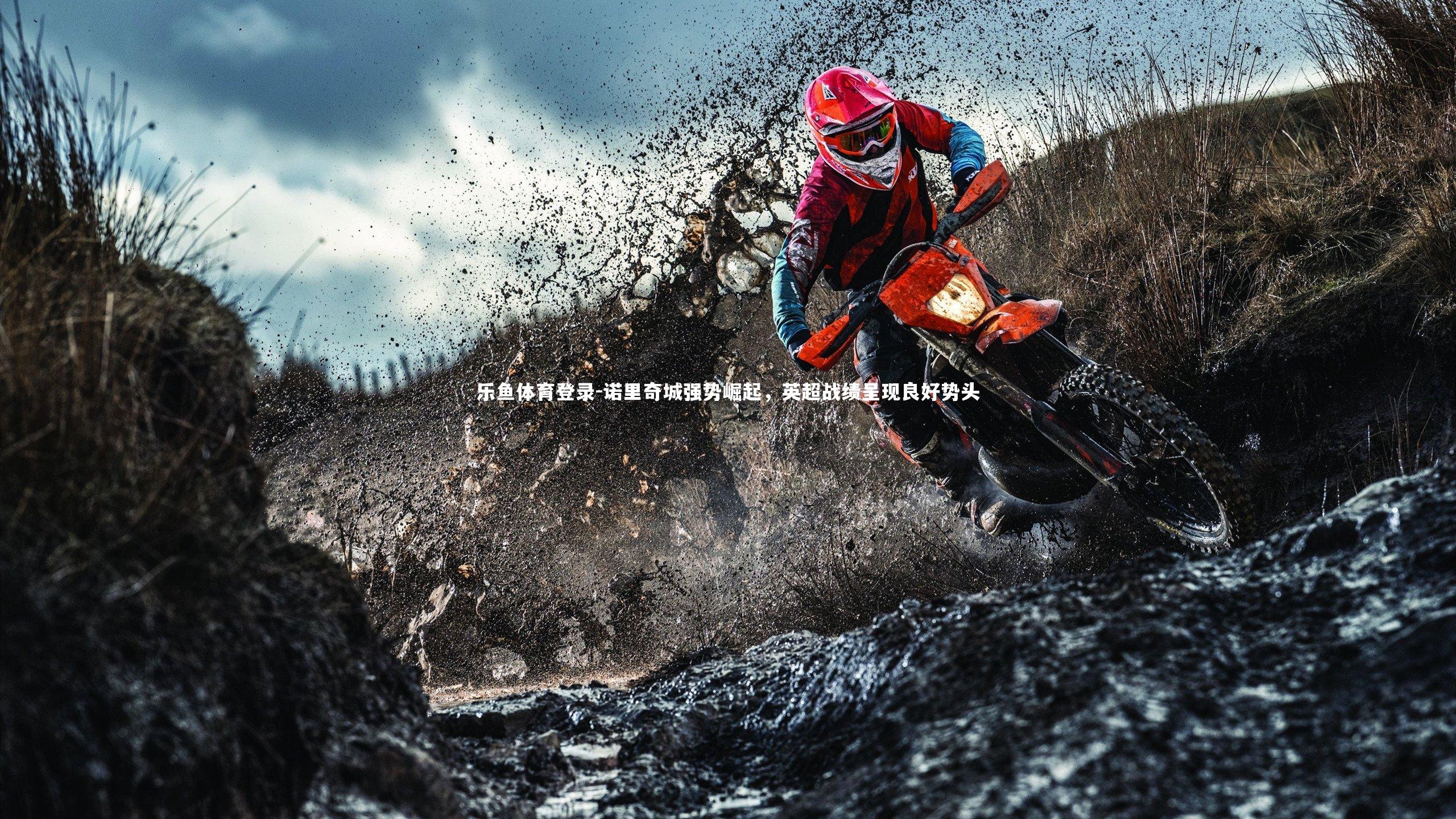 诺里奇城强势崛起，英超战绩呈现良好势头